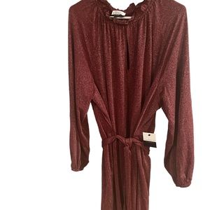 Eloqui Elements raspberry dress with sparkles